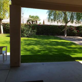 A sunny view of a lush green lawn from a patio.