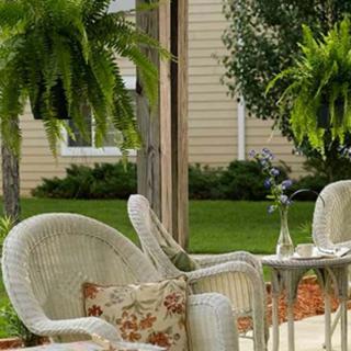 A cozy patio setup with wicker chairs and lush ferns.
