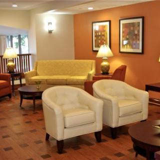A cozy living room with comfortable seating and warm lighting.
