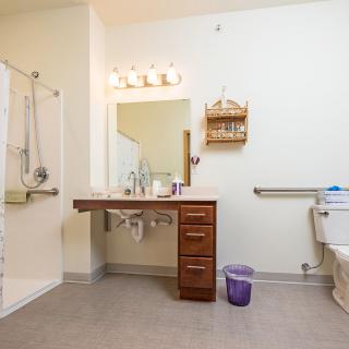 A well-lit bathroom equipped with accessibility features, including grab bars and a walk-in shower.