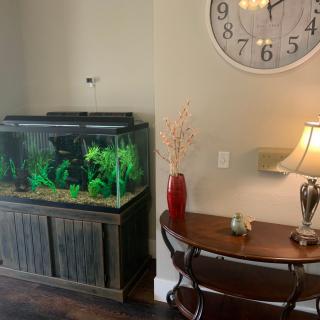 A cozy corner of a home featuring an aquarium, a large wall clock, and a lamp on a wooden table.