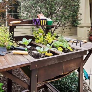 A wooden garden table with various plants and gardening tools in an outdoor setting.