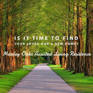 A serene pathway lined with trees, inviting you to consider a new home for your loved one at Manley Oaks Assisted Living Residence.