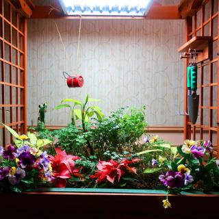 A vibrant indoor garden setup with various plants and flowers under LED lighting.