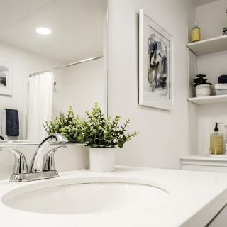 A minimalist bathroom with a white sink and decorative plant.