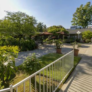 A tranquil garden pathway surrounded by lush greenery on a sunny day.