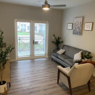 A modern living room with a sofa, armchair, and decorative plants.