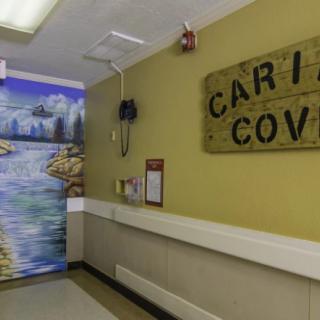 A hospital hallway featuring a 'Care Cove' sign and a scenic mural on the wall.