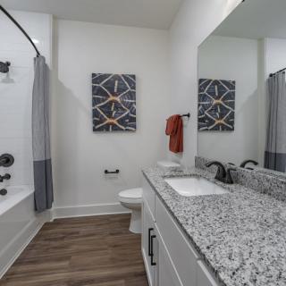 A modern bathroom with a granite countertop, wood flooring, and wall artwork.