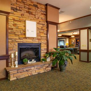 A cozy living room with a stone fireplace and an indoor plant.