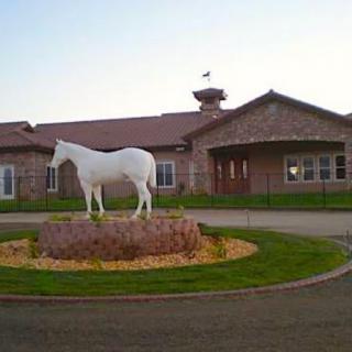 A white horse statue in front of a building with landscaped surroundings.