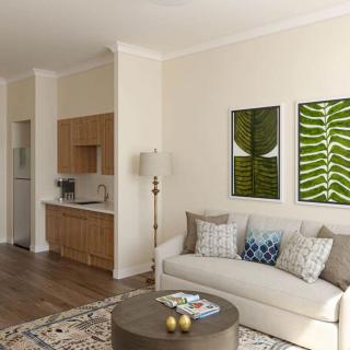 A modern living room with a minimalist design, featuring a cozy sofa, decorative pillows, and framed leaf artwork on the wall.