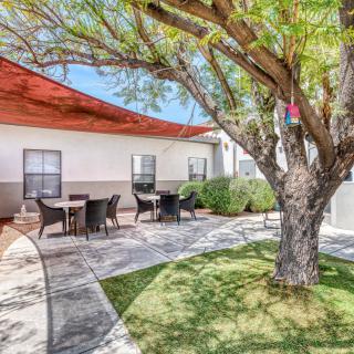 A serene courtyard featuring outdoor seating under a tree and shade sails.