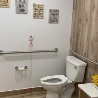 A well-equipped, accessible bathroom with decorative wall art and grab bars for safety.