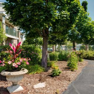 A landscaped garden with lush trees and vibrant flowers lining a paved pathway.