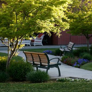A serene park setting with benches along a winding pathway surrounded by lush greenery.