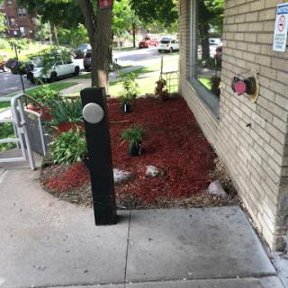 A well-maintained entrance area featuring a landscaped garden with plants and decorative mulch.