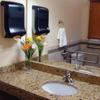 A well-maintained bathroom featuring a sink, mirror, and granite countertop adorned with flowers.