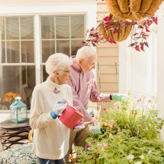 An elderly couple enjoying a moment together while tending to their indoor plants.