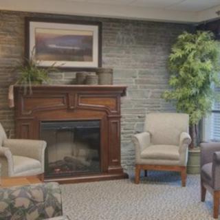 A cozy living room with a fireplace, armchairs, and an indoor plant.