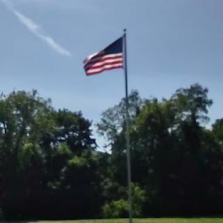 A waving United States flag against a clear blue sky, surrounded by lush greenery.