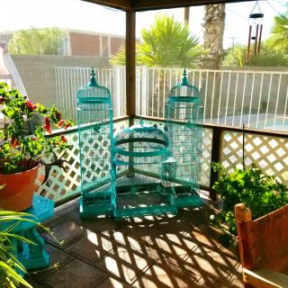 A sunny patio corner adorned with turquoise birdcages and lush green plants.