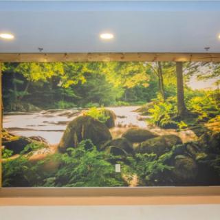 A mural depicting a serene forest landscape with a river flowing among rocks and lush greenery.