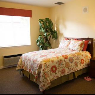 A cozy bedroom with a floral bedspread, a large window, and a potted plant in the corner.