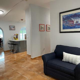 A cozy living room featuring a navy blue sofa and decorative artwork.