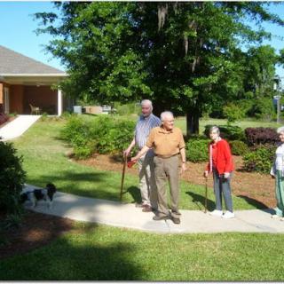 A group of seniors enjoying a walk outdoors with their dog.