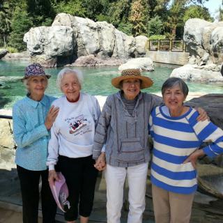 Four elderly women enjoying a day out in a natural setting.