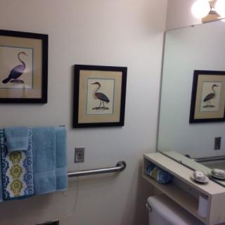 A bathroom with framed bird pictures and a blue towel near a mirror.