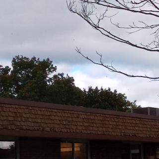 A view of a building under a cloudy sky, surrounded by trees.