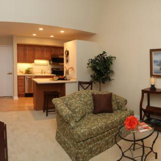 A cozy open-concept living room and kitchen area in a modern apartment.