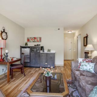 A cozy living room with a sofa, coffee table, and decorative elements on hardwood floors.