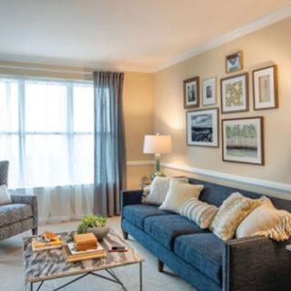 A cozy living room with a blue sofa, decorative pillows, and a gallery wall of art.