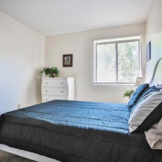 A minimalist bedroom featuring a neatly made bed, dresser, and window letting in natural light.