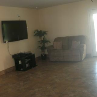 A minimalist living room with a wall-mounted television, a small sofa, and a potted plant.