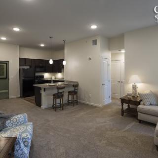A modern open floor plan combining the living room and kitchen area, featuring contemporary furniture and ceiling lighting.