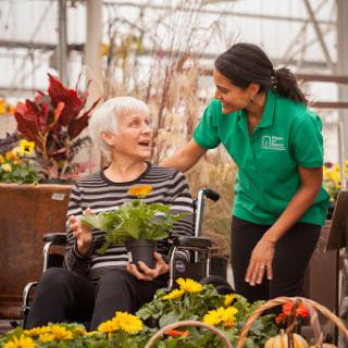 A caregiver assisting an elderly person in a greenhouse, surrounded by colorful flowers.