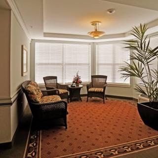 A cozy waiting area with chairs and a small table, decorated with plants and natural lighting.