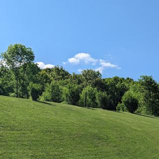A serene landscape featuring a rolling green hill under a clear blue sky.