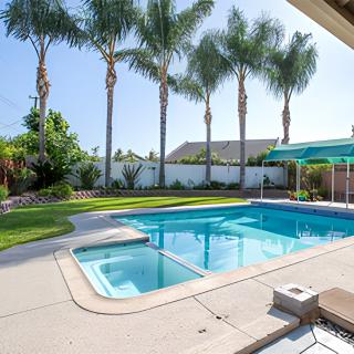 A sunny backyard with a swimming pool and palm trees.
