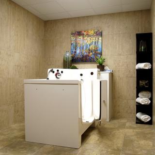 A modern bathroom featuring a walk-in bathtub designed for safety and accessibility.