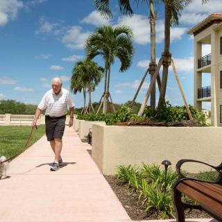 A man walks his dog along a sunny sidewalk lined with palm trees and buildings.