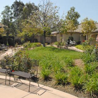 A serene garden space with lush greenery and a winding pathway, perfect for relaxation.
