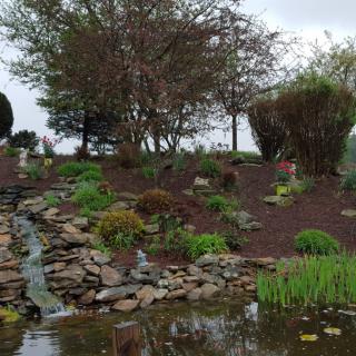 A serene garden landscape with a small waterfall and pond, surrounded by lush greenery and trees.