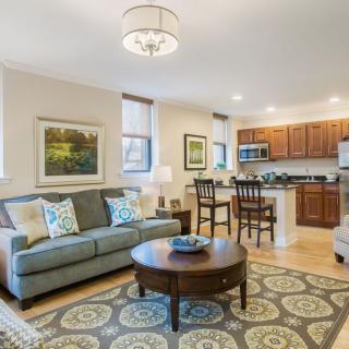 A cozy open-plan living and kitchen area with stylish decor.