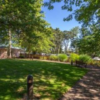 A sunny day in a tranquil park with lush greenery and a winding pathway.