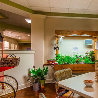 A cozy kitchen area with an indoor garden providing a touch of greenery.
